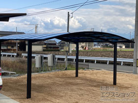 のカーポート アリュース ツイン　積雪〜20cm対応 施工例