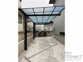 OA~̃J[|[g j[}CbV  ʏz Oオ ϐ`20cmΉ {H