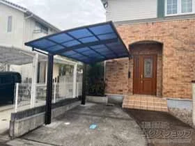 Value Select�̃J�[�|�[�g �v���V�I�X�|�[�g �ϐ�`20cm�Ή� �{�H��