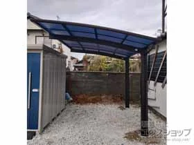 YKKAP�̃J�[�|�[�g �A�����[�X�@�ϐ�`20cm�Ή� �{�H��