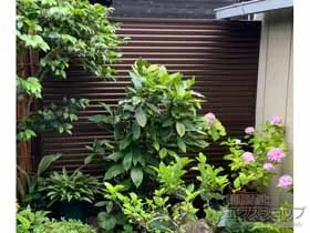 Value Select̃tFXEE ~G[ltFX ډB[o[^Cv 2ix ėp {H