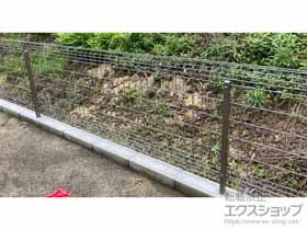 OA~̃tFXEE bVHR^ t[x^Cv {H