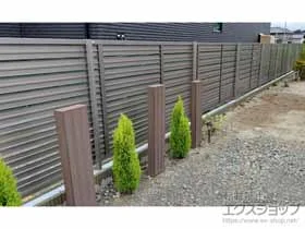 Value Select̃tFXEE NnCtFX t[|[^Cv {H