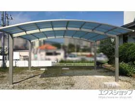 YKKAP�̃J�[�|�[�g �A�����[�X �c�C���@�ϐ�`20cm�Ή�+������������ �{�H��