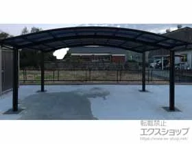 YKKAP�̃J�[�|�[�g �A�����[�X �c�C���@�ϐ�`20cm�Ή� �{�H��