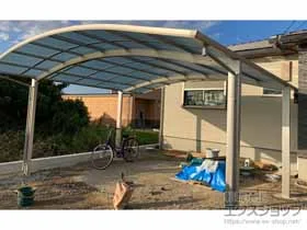 YKKAP�̃J�[�|�[�g �A�����[�X �c�C���@�ϐ�`20cm�Ή� �{�H��