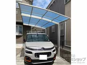 YKKAP�̃J�[�|�[�g �A�����[�X�@�ϐ�`20cm�Ή� �{�H��