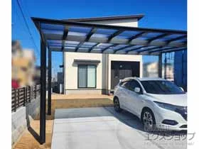 LIXIL(NV)̃J[|[g lXJF (tbgX^C) Ch ϐ`20cmΉ {H