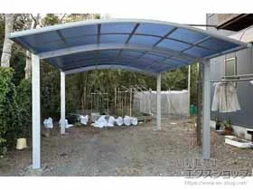 YKKAP�̃J�[�|�[�g �A�����[�X �c�C���@�ϐ�`20cm�Ή� �{�H��