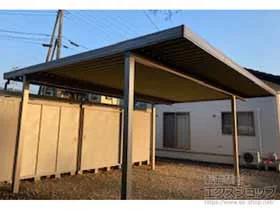 LIXIL(���N�V��)�̃J�[�|�[�g �J�[�|�[�gSW �ϐ�30cm�Ή� 2��p �Ԍ����� 4�{�� �{�H��