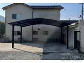 YKKAP�̃J�[�|�[�g �A�����[�X �c�C���@�ϐ�`20cm�Ή� �{�H��