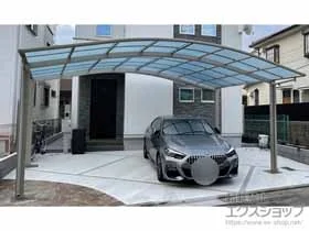 YKKAP�̃J�[�|�[�g �A�����[�X �c�C���@�ϐ�`20cm�Ή� �{�H��