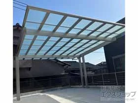 YKKAP�̃J�[�|�[�g �G�t���[�W���c�C��EX FIRST ����x���^�C�v �ϐ�`20cm�Ή� �{�H��