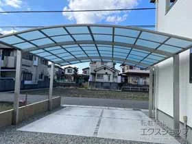 YKKAP�̃J�[�|�[�g �A�����[�X �c�C���@�ϐ�`20cm�Ή� �{�H��