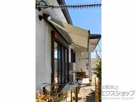 LIXIL NV(gXe)̃I[jOETVF[hE悯 ʕ ₩ S^ 蓮 {H