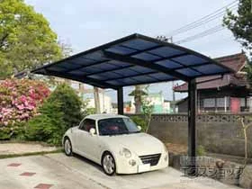 Value Select�̃J�[�|�[�g �v���V�I�X�|�[�g �ϐ�`20cm�Ή� �{�H��