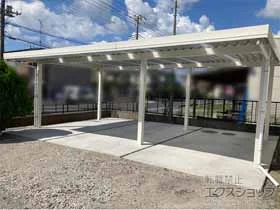 YKKAP�̃J�[�|�[�g �W�[�|�[�gPro 900 3��p ���A�� (1+2��) 6�{�� �ϐ�`30cm�Ή��{�X�p�C�N�X�|�b�g���C�g SSP-G2�^ �{�H��