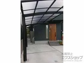 YKKAP�̃J�[�|�[�g �A�����[�X�@�ϐ�`20cm�Ή� �{�H��