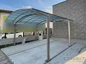 YKKAP�̃J�[�|�[�g �A�����[�X �c�C���@�ϐ�`20cm�Ή� �{�H��