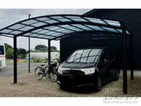 YKKAP�̃J�[�|�[�g �A�����[�X �c�C���@�ϐ�`20cm�Ή� �{�H��