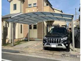 YKKAP�̃J�[�|�[�g �A�����[�X �c�C���@�ϐ�`20cm�Ή� �{�H��