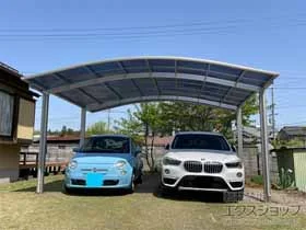 YKKAP�̃J�[�|�[�g �A�����[�X �c�C���@�ϐ�`20cm�Ή� �{�H��