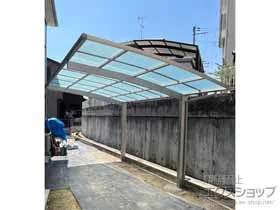 YKKAP�̃J�[�|�[�g �A�����[�X�@�ϐ�`20cm�Ή� �{�H��