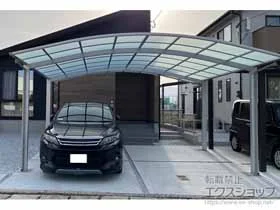 YKKAP�̃J�[�|�[�g �A�����[�X �c�C���@�ϐ�`20cm�Ή� �{�H��