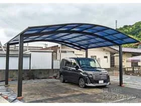 YKKAP�̃J�[�|�[�g �A�����[�X �c�C���@�ϐ�`20cm�Ή� �{�H��