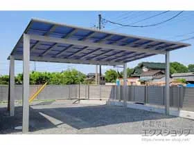 YKKAP�̃J�[�|�[�g �G�t���[�W�� �c�C�� FIRST �ϐ�`20cm�Ή� �{�H��