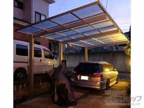 YKKAP�̃J�[�|�[�g �G�t���[�W�� FIRST �����@�ϐ�`20cm�Ή� �{�H��