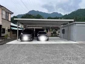 YKKAP�̃J�[�|�[�g �W�[�|�[�gPro 900 3��p 4�{�� �ϐ�`30cm�Ή� �{�H��