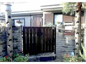 �O���A���~�̖�� �t���C�i��� T1�^ ���J���@�和�^�C�v �{�H��