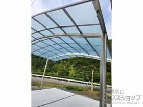 YKKAP�̃J�[�|�[�g �A�����[�X �c�C���@�ϐ�`20cm�Ή� �{�H��