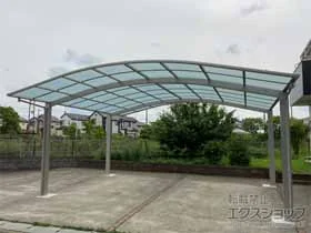 YKKAP�̃J�[�|�[�g �A�����[�X �c�C���@�ϐ�`20cm�Ή� �{�H��