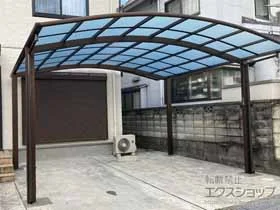 YKKAP�̃J�[�|�[�g �A�����[�X �c�C���@�ϐ�`20cm�Ή� �{�H��