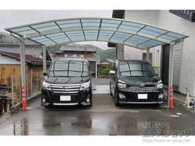 YKKAP�̃J�[�|�[�g �A�����[�X �c�C���@�ϐ�`20cm�Ή� �{�H��