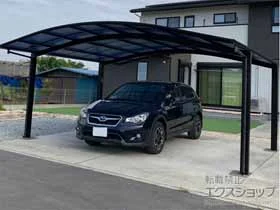 YKKAP�̃J�[�|�[�g �A�����[�X �c�C���@�ϐ�`20cm�Ή� �{�H��