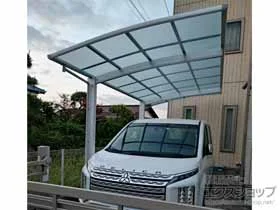 YKKAP�̃J�[�|�[�g �A�����[�X�@�ϐ�`20cm�Ή� �{�H��