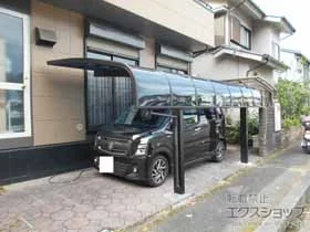 Value Select�̃J�[�|�[�g �v���V�I�X�|�[�g �A���t�@ �ϐ�`20cm�Ή� �{�H��