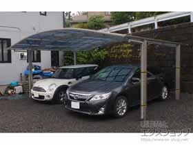 YKKAP�̃J�[�|�[�g �A�����[�X �c�C���@�ϐ�`20cm�Ή� �{�H��