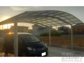 YKKAP�̃J�[�|�[�g �A�����[�X �c�C���@�ϐ�`20cm�Ή� �{�H��