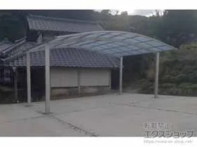 YKKAP�̃J�[�|�[�g �A�����[�X �c�C���@�ϐ�`20cm�Ή� �{�H��