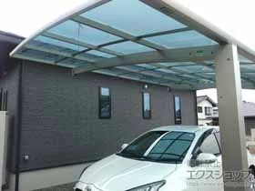 YKKAP�̃J�[�|�[�g �A�����[�XZ �ϐ�`25cm�Ή��{���E���T�|�[�g �{�H��