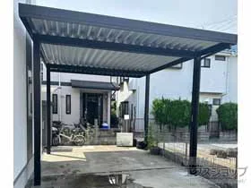 YKKAP�̃J�[�|�[�g �W�[�|�[�gPro �ϐ�30cm�Ή� 2��p 4�{�� �{�H��