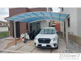 YKKAP�̃J�[�|�[�g �A�����[�X �c�C���@�ϐ�`20cm�Ή� �{�H��