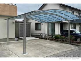 YKKAP�̃J�[�|�[�g �A�����[�X �c�C���@�ϐ�`20cm�Ή� �{�H��