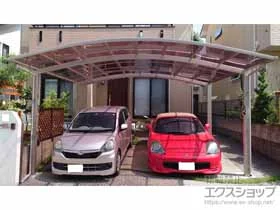 YKKAP�̃J�[�|�[�g �A�����[�X �c�C���@�ϐ�`20cm�Ή� �{�H��