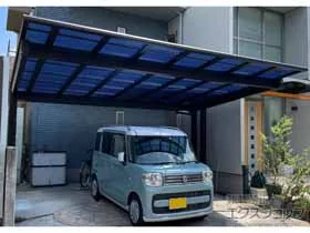 YKKAP�̃J�[�|�[�g �G�t���[�W���c�C��EX FIRST ����x���^�C�v �ϐ�`20cm�Ή��{���E���T�|�[�g �{�H��