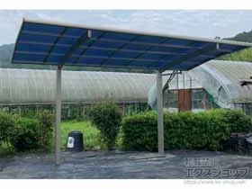 Value Select�̃J�[�|�[�g �v���V�I�X�|�[�g �ϐ�`20cm�Ή� �{�H��